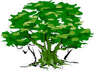 tree.jpg (7549 bytes)